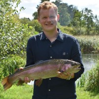 Harry Duffy