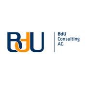 BdU Consulting