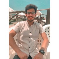 Mohamed Elsharkawy