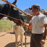 Gary Cisneros