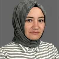 Pınar Gülcan