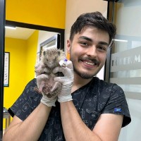 Taha Berk TAŞPINAR