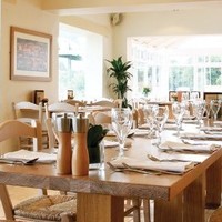 Collingham Piccolino