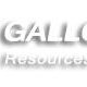 Gallop Resources