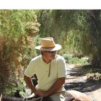 MANUEL ANTONIO GAONA ARAYA