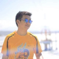 Vincent Austria