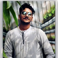 Dinesh Raja S