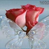 Rahim Shah
