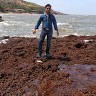 sk nasim