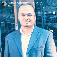 Haitham Abdel-Salam Elsayed