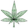 cultiva puertomontt