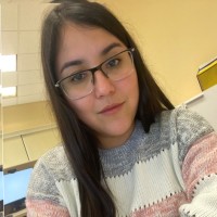 Karen Llanas