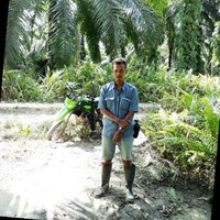 yusuf ridhowansyah purba