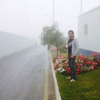 Tameem Ansari