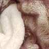 Furs First