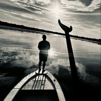 Mark Gipson