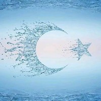 Gece Kuşu