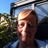 Ludwien Van Dingenen