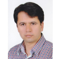 Mohsen Rezaei