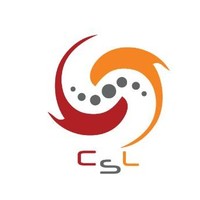 Code Solution Lab