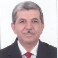 Mohamed Aladdin Elmoogi