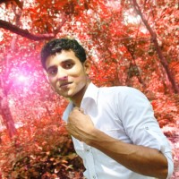 Wordpress Developer