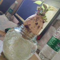 赵富超