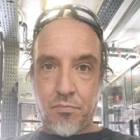 Massimiliano Vaccari