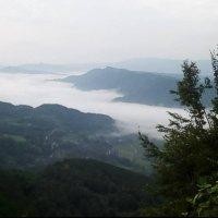 王永宏