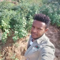 Misgana Abdisa