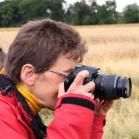 Brigitte Stein