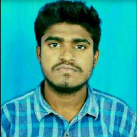 Vigneshwaran P