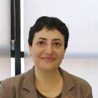 Somayeh Lamei Ramandi