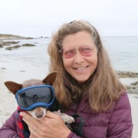 Carie Broecker