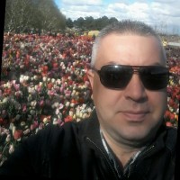 Bitai Zsolt