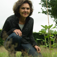 Annelies Dijkman
