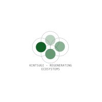Kintsugi Regenerating Ecosystems