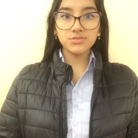 RAQUEL ESTEFANY PILLACA CORNEJO