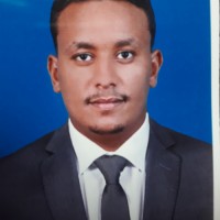 Ali Magid Ali Mohamed