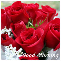 Ankit Ankit