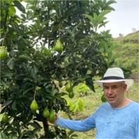 Pedro Felipe Estrada Restrepo.