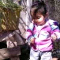Heber Israel Rojas Alarcon