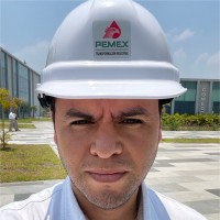 FERNANDO MORA MEDINA