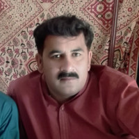 Malik Anwar