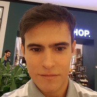 Vinicius Berger Moura