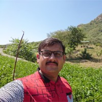Joshi D.