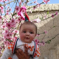 Hafizullah Rezapoor