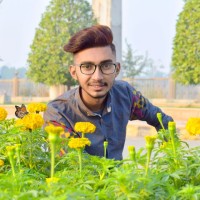 Muhammad Ahsan Shawaiz