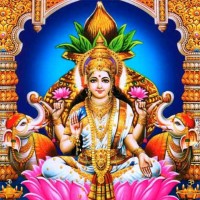 M Jayasree