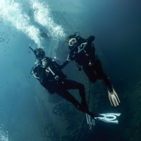 The Alcalloughby’s